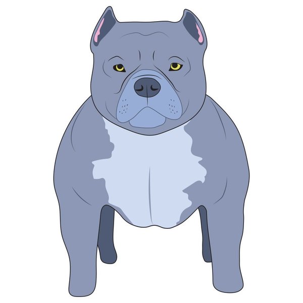 Signmission American Bully Dog Decal, Dog Lover Decor Vinyl Sticker D-12-American Bully